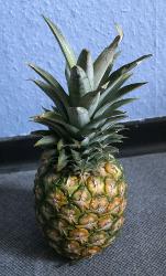 A pineapple